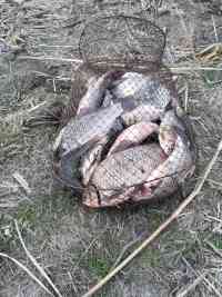 На канале на фидер 